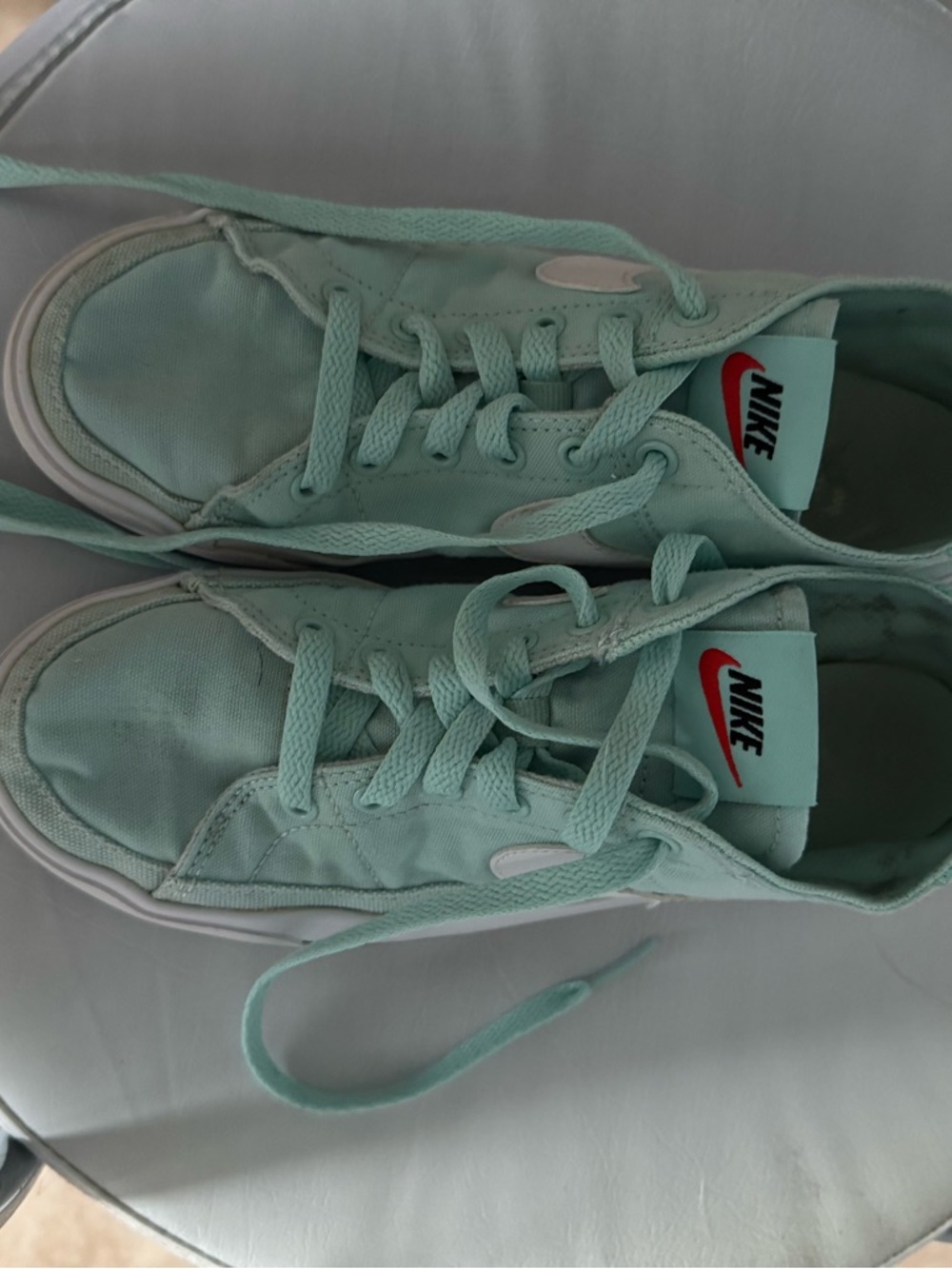 Nike Mint Green Canvas Sneakers with Red Logo